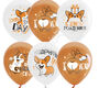 М12 Корги СДР WHITE&ORANGE 1 ст. 2 цв. рис. 25шт ЛО